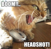 Boom ! Headshot !